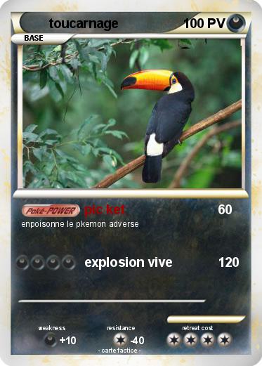 Pokemon toucarnage