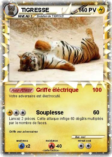 Pokemon TIGRESSE