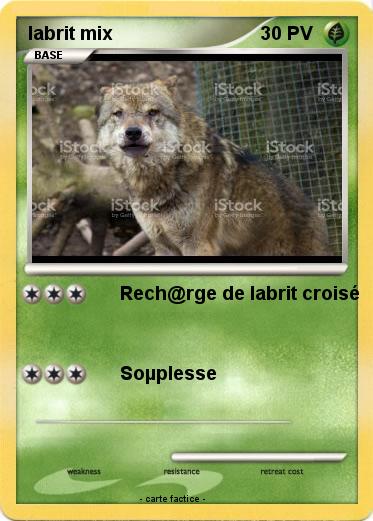 Pokemon labrit mix
