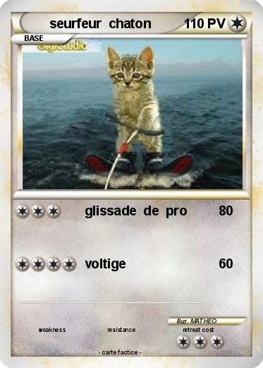 Pokemon seurfeur  chaton
