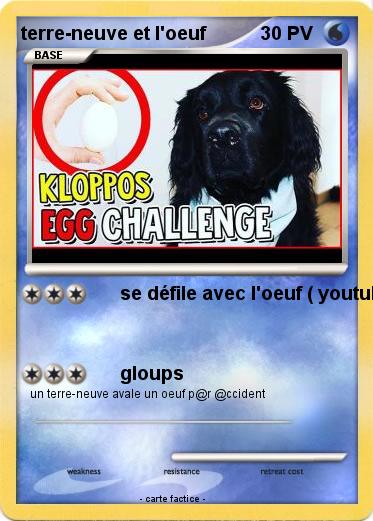 Pokemon terre-neuve et l'oeuf