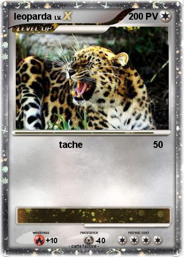 Pokemon leoparda