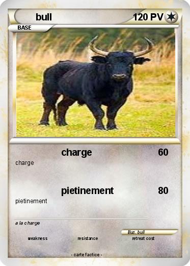 Pokemon bull