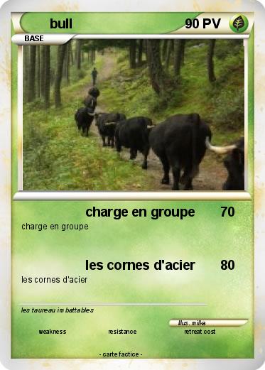 Pokemon bull