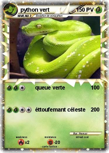 Pokemon python vert