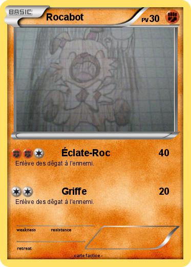Pokemon Rocabot