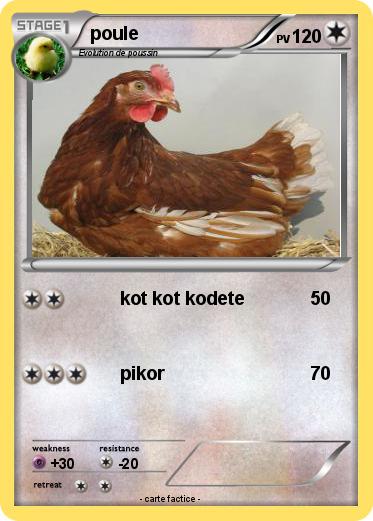 Pokemon poule