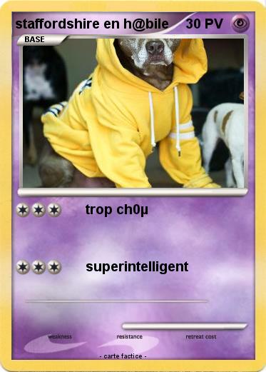 Pokemon staffordshire en h@bile