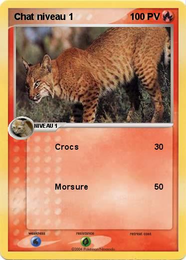 Pokemon Chat niveau 1