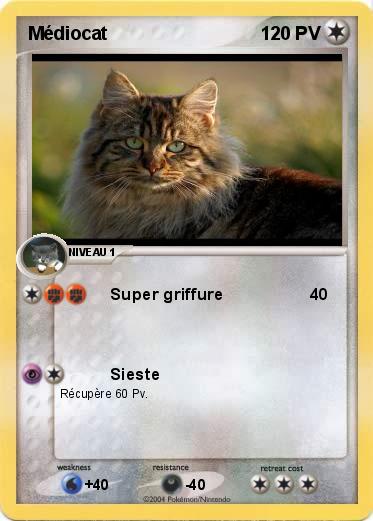 Pokemon Médiocat