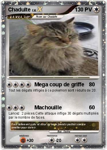 Pokemon Chadulte