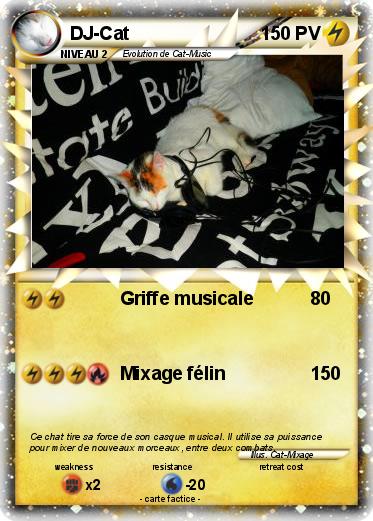 Pokemon DJ-Cat