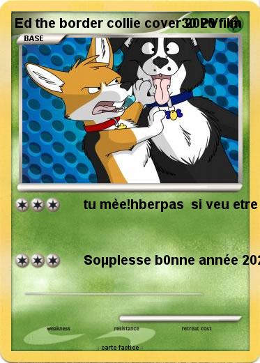 Pokemon Ed the border collie cover 2020 film