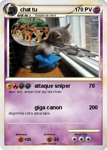 Pokemon chat tu