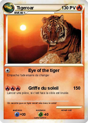 Pokemon Tigeroar