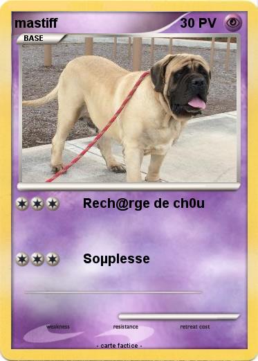 Pokemon mastiff