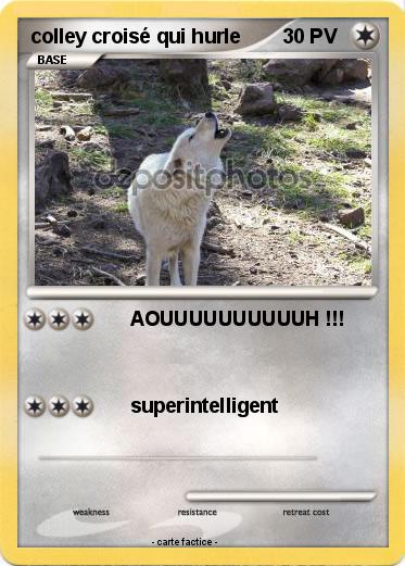 Pokemon colley croisé qui hurle