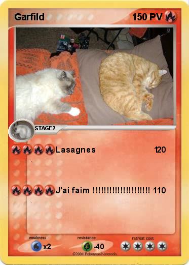 Pokemon Garfild