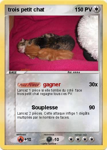 Pokemon trois petit chat