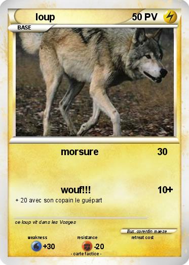 Pokemon loup