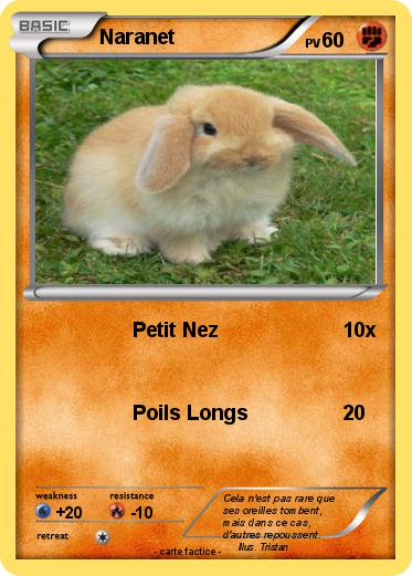 Pokemon Naranet
