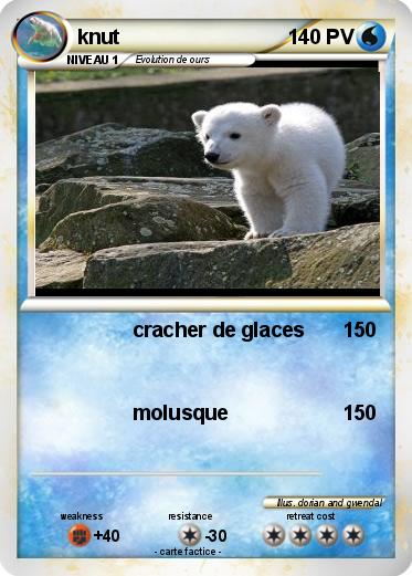 Pokemon knut