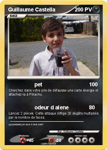 Pokemon Guillaume Castella