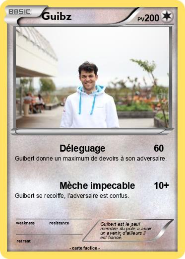 Pokemon Guibz