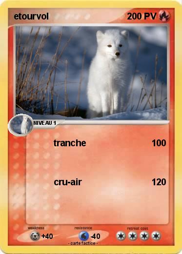Pokemon etourvol