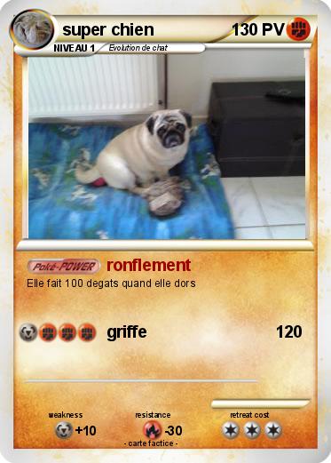 Pokemon super chien