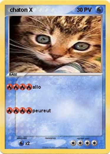 Pokemon  chaton X