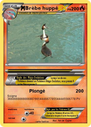 Pokemon Brèbe huppé