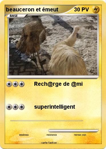 Pokemon beauceron et émeut
