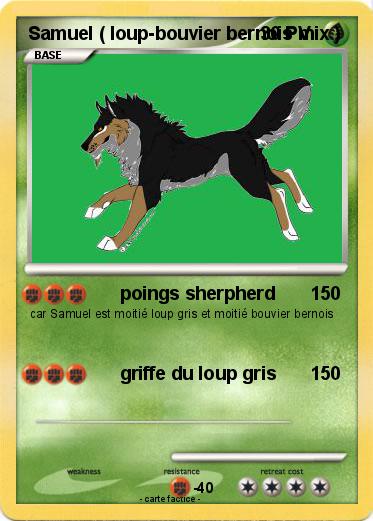 Pokemon Samuel ( loup-bouvier bernois mix )