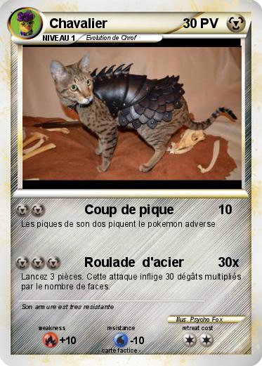 Pokemon Chavalier