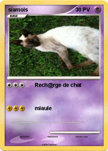 Pokemon siamois