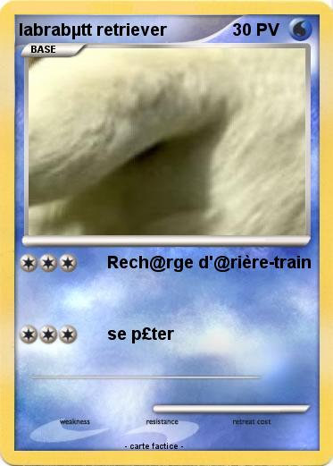 Pokemon labrabµtt retriever