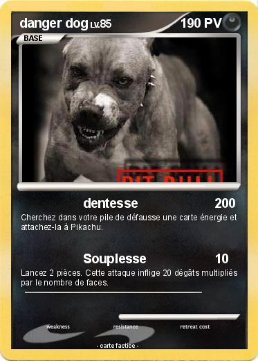 Pokemon danger dog
