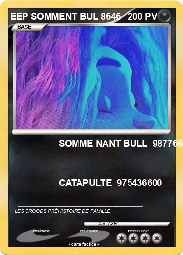 Pokemon EEP SOMMENT BUL 8646