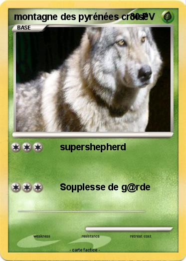 Pokemon montagne des pyrénées croisé