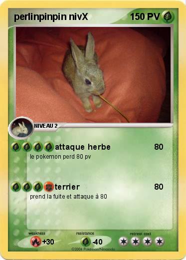 Pokemon perlinpinpin nivX