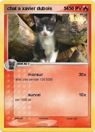 Pokemon chat a xavier dubois         54