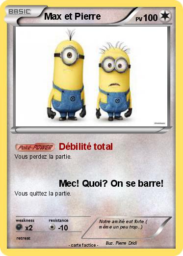 Pokemon Max et Pierre