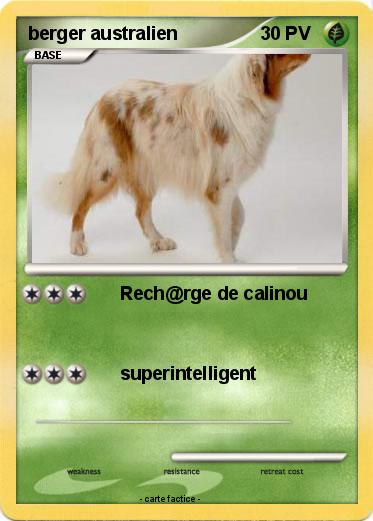 Pokemon berger australien
