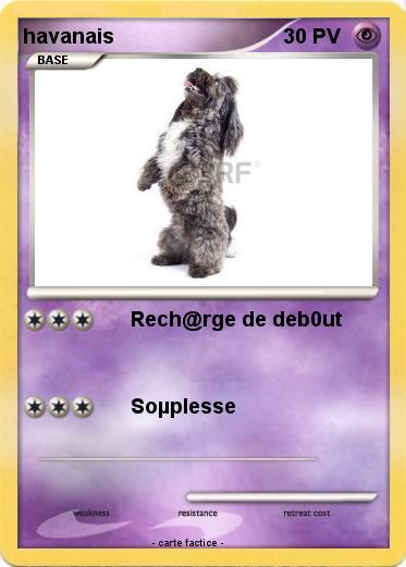 Pokemon havanais