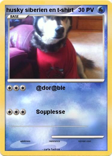 Pokemon husky siberien en t-shirt