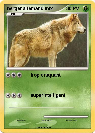 Pokemon berger allemand mix