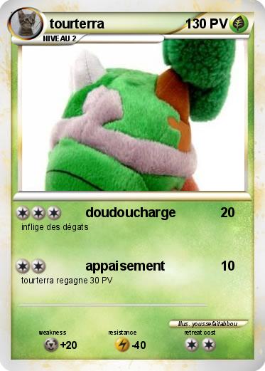 Pokemon tourterra