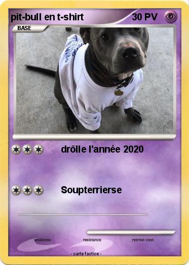 Pokemon pit-bull en t-shirt