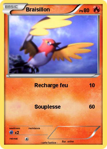 Pokemon Braisillon